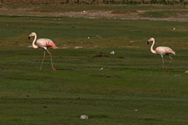 image094