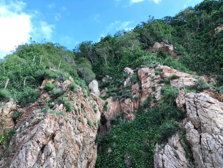 Costa de Colima 5 m