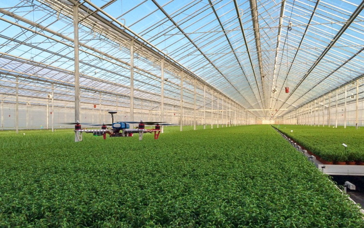 cropped Greenhouse Drone LR e1563269134988 m