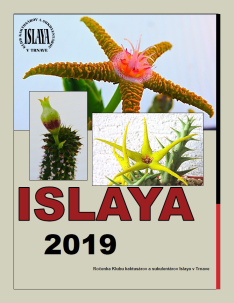 rocenka2019Islaya m234