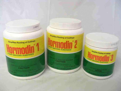 Hormodin Rooting Hormone Review m