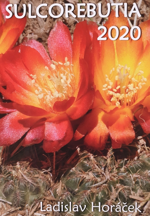 Sulcorebutia 2020