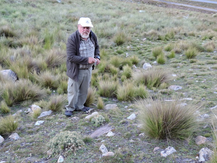 pred-Rompe-Muelle-Sicuani-Peru