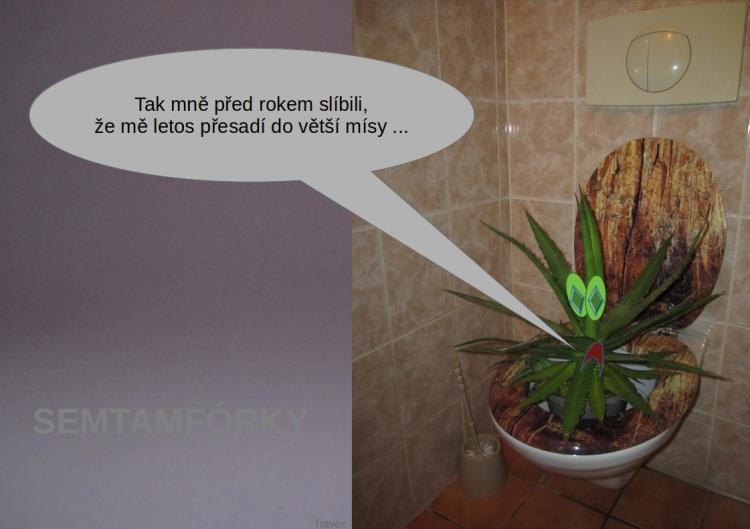 semtamfórky - září 2022