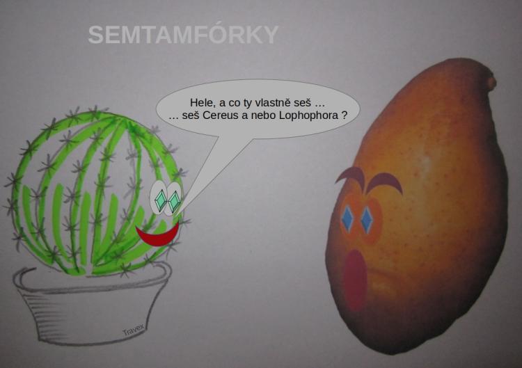 semtamfórky - listopad 2022