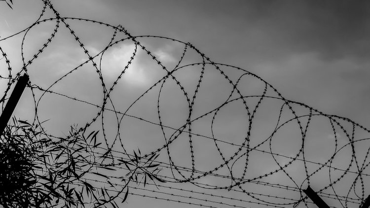 barbed-wire