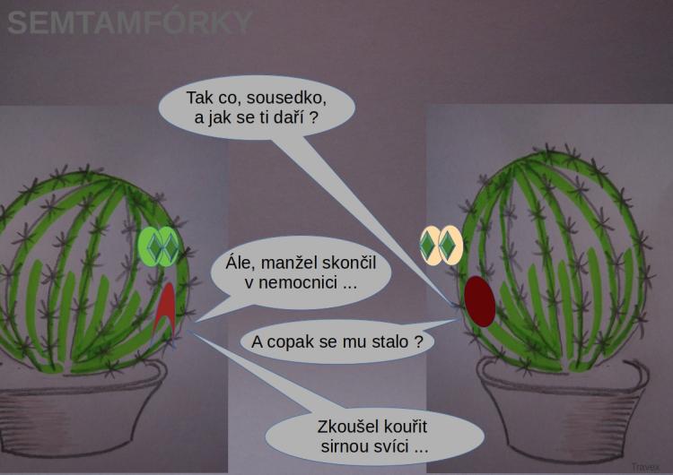 semtamfórky - září 2023