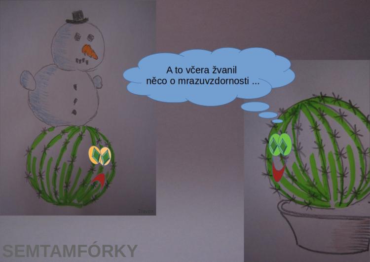 semtamfórky - prosinec 2023