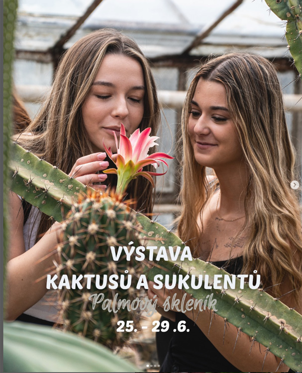 VYSTAVA OLO