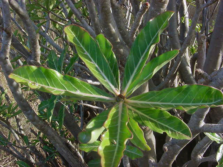 u09