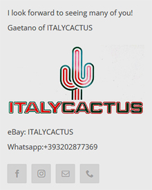 00