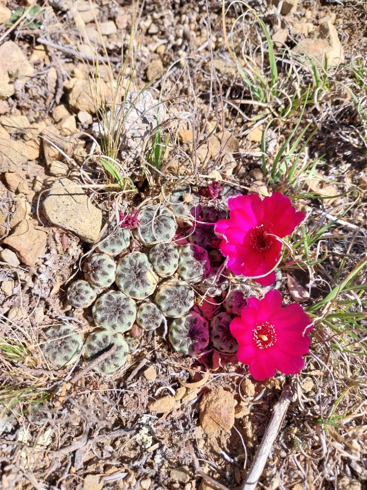 b080910