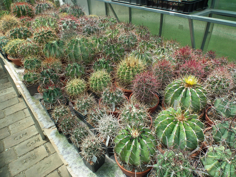 u30b