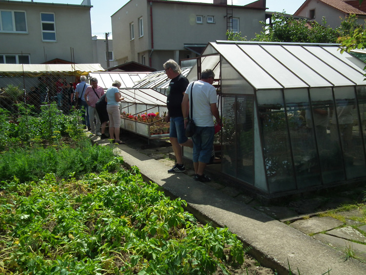 06 pohled ze zahrady