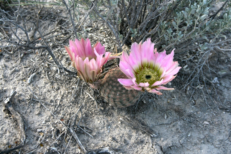 09