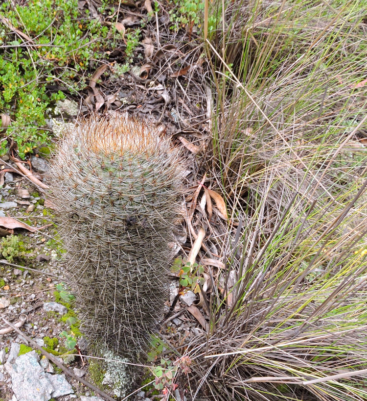 u04