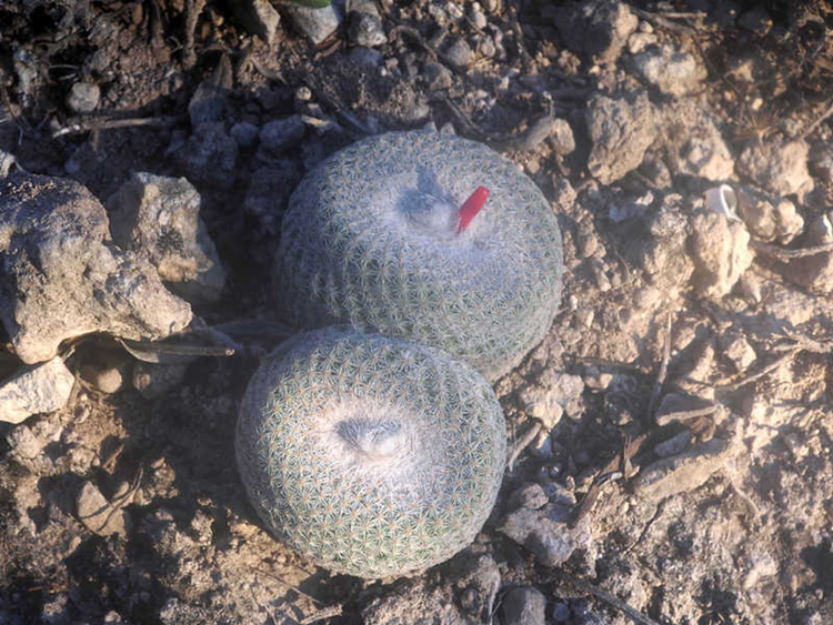 u47